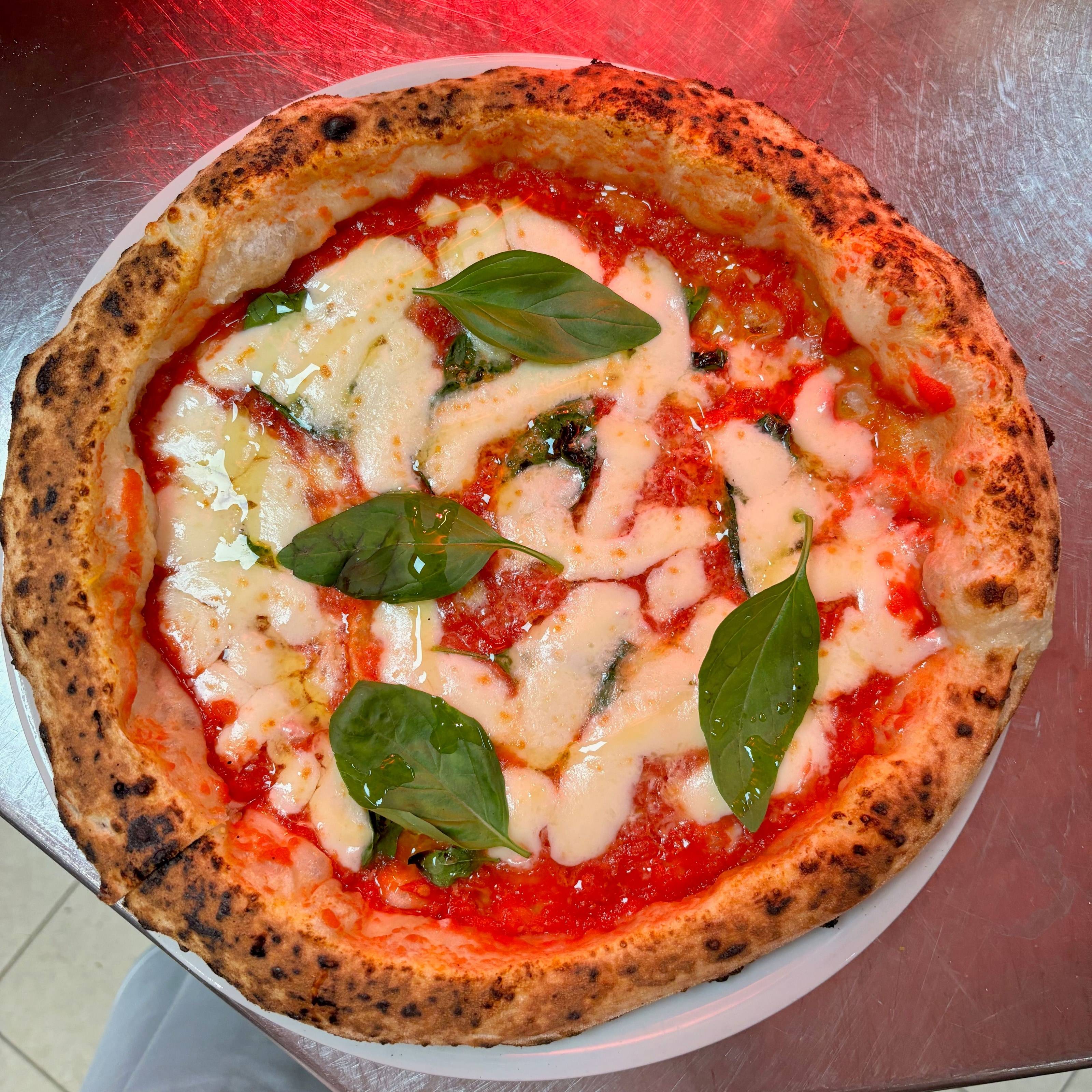 Pizza margherita vue de dessus : cornicione gonflé et léopardé, sauce tomate, mozzarella fondue, feuilles de basilic.